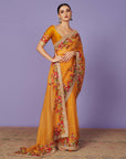 Zardozi Border Saree Set