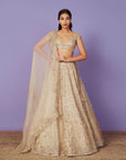 Athena Lehenga Set