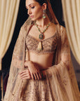 The Dripping Gold Tara Lehenga