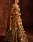 Mocha Naira Lehenga Set