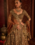 Mocha Naira Lehenga Set