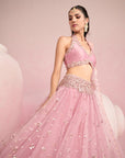 Soft Pink Lehenga Set
