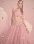 Soft Pink Lehenga Set
