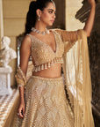 Nude Pearl Lehenga Set