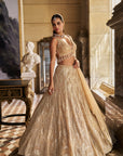 Nude Pearl Lehenga Set