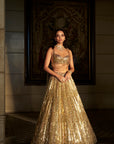 Gold Crystal Lehenga Set