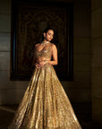 Gold Crystal Lehenga Set
