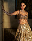 Gold Crystal Lehenga Set