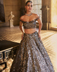 Metallic Silver 3D Lehenga Set