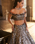 Metallic Silver 3D Lehenga Set