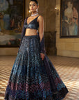 Multi - Coloured Sequin Lehenga Set