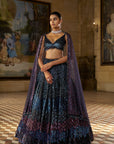 Multi - Coloured Sequin Lehenga Set