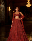Brick Red Crystal Lehenga Set