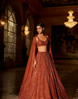 Copper Crystal Lehenga Set