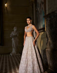 Pink Crystal Lehenga Set
