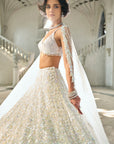 Multi-Coloured Sequin Lehenga Set - Ready to Ship