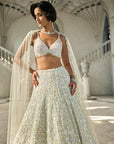 Multi-Coloured Sequin Lehenga Set - Ready to Ship