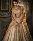 Ivory Gold Pearl Lehenga Set
