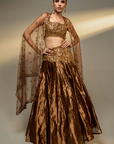 Mocha Mousse Lehenga Set