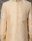 Gold Raw Silk Zari Embroidered Sherwani Set - Ready to Ship