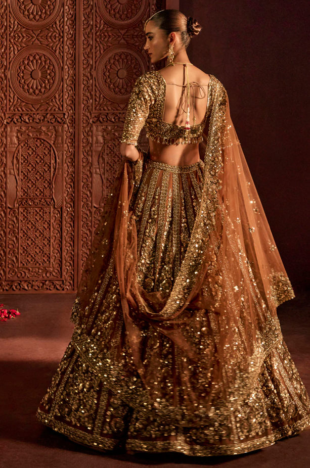 Mocha Naira Lehenga Set