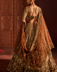Mocha Naira Lehenga Set