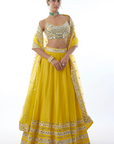 Janya Lehenga Set