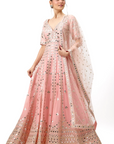 Aasmi Anarkali Set