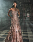 Rose Gold Mirror Work Gown