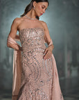 Rose Gold Mirror Work Gown
