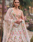 Cream Multi Coloured Floral Lehenga Set