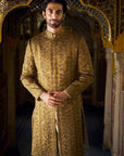 Antique Gold Tissue Sherwani Set