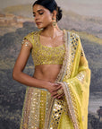 Rang Mahal Mirror Lehenga Set