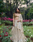Shahi Saaz Lehenga Set