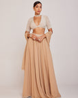 Beige Lehenga Pants Set