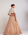 Beige Organza Lehenga Set