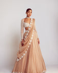 Beige Pearl Chandelier Drop Organza Lehenga Set