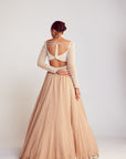 Beige Pearl Chandelier Drop Organza Lehenga Set