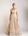 Beige Chandelier Pearl Sweetheart Neck Lehenga Set