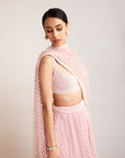 Powder Pink Dense Pearl Lehenga Set