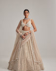 Light Beige Dense Mirror And Pearl Lehenga Set With Double Dupatta And Veil