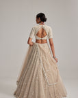 Light Beige Dense Mirror And Pearl Lehenga Set With High Neck Blouse And Dupatta