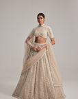 Light Beige Dense Pearl And Mirror Lehenga Set With High Neck Blouse, Double Dupatta And Veil