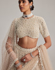 Light Beige Dense Mirror And Pearl Lehenga Set With High Neck Blouse And Double Dupatta