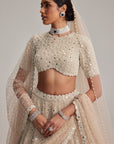 Light Beige Dense Pearl And Mirror Lehenga Set With High Neck Blouse, Double Dupatta And Veil