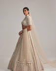 Light Beige Dense Pearl And Mirror Lehenga Set With High Neck Blouse, Double Dupatta And Veil
