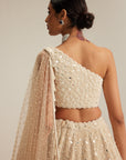 Light Beige Dense Mirror And Pearl One Shoulder Lehenga Set
