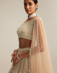 Light Beige Dense Mirror And Pearl One Shoulder Lehenga Set