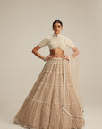 Light Beige Pearl Drop Multi Tier Lehenga With High Neck Blouse Set.