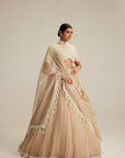 Light Beige High Neck Organza Mirror And Pearl Lehenga Set